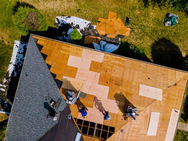 Roof Gutter Cleaning in Raton, NM